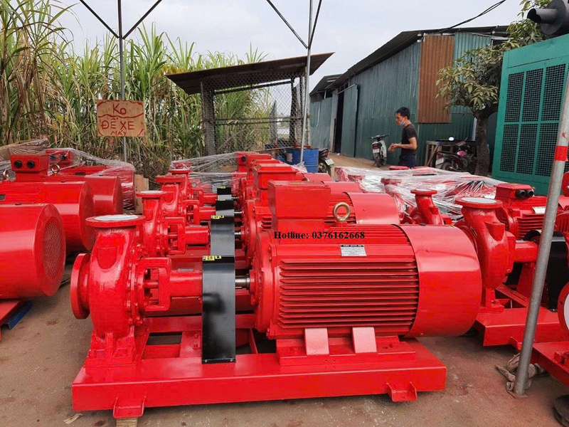 Hình ảnh công ty Thắng Lợi